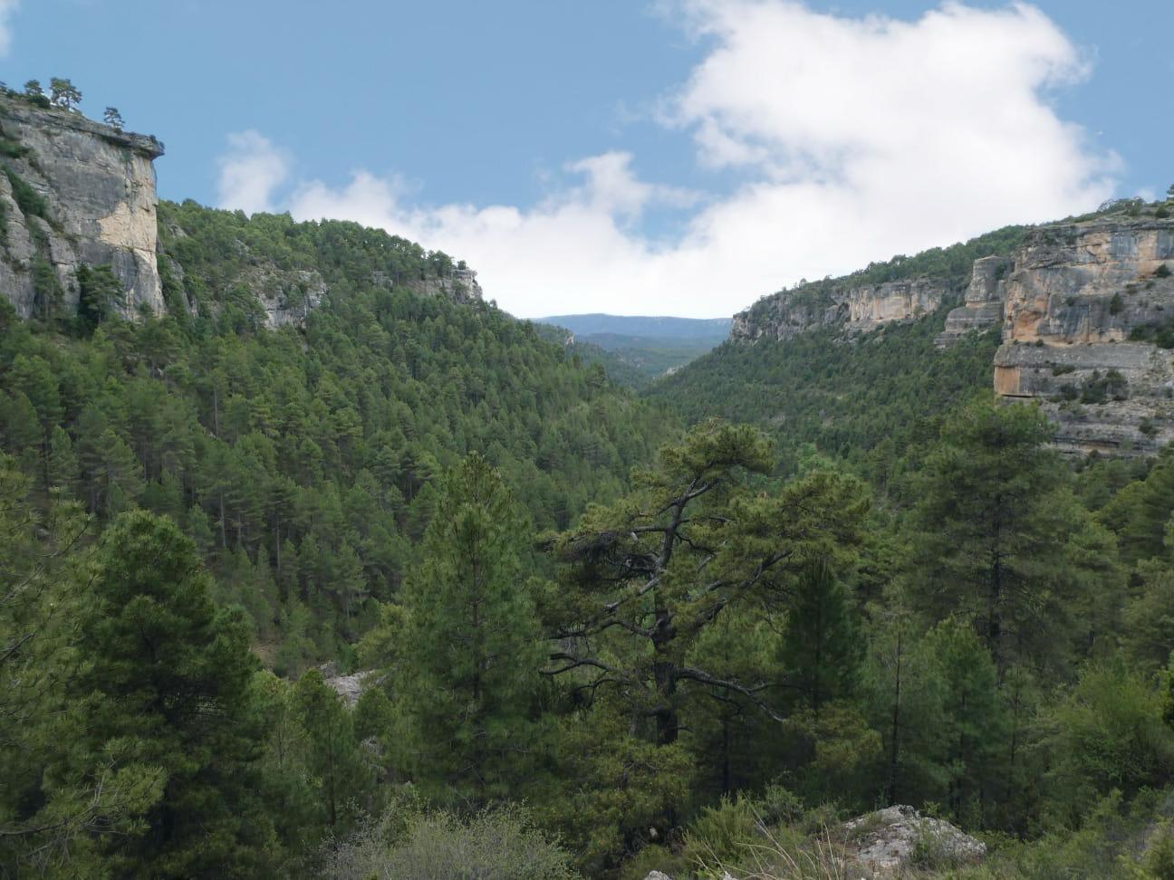 Ciudad encantada de Carrascosa (Cuenca).