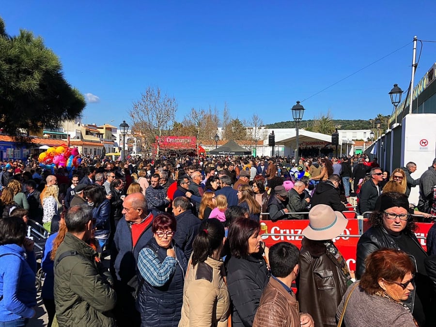 Una Tagarninada en Los Barrios