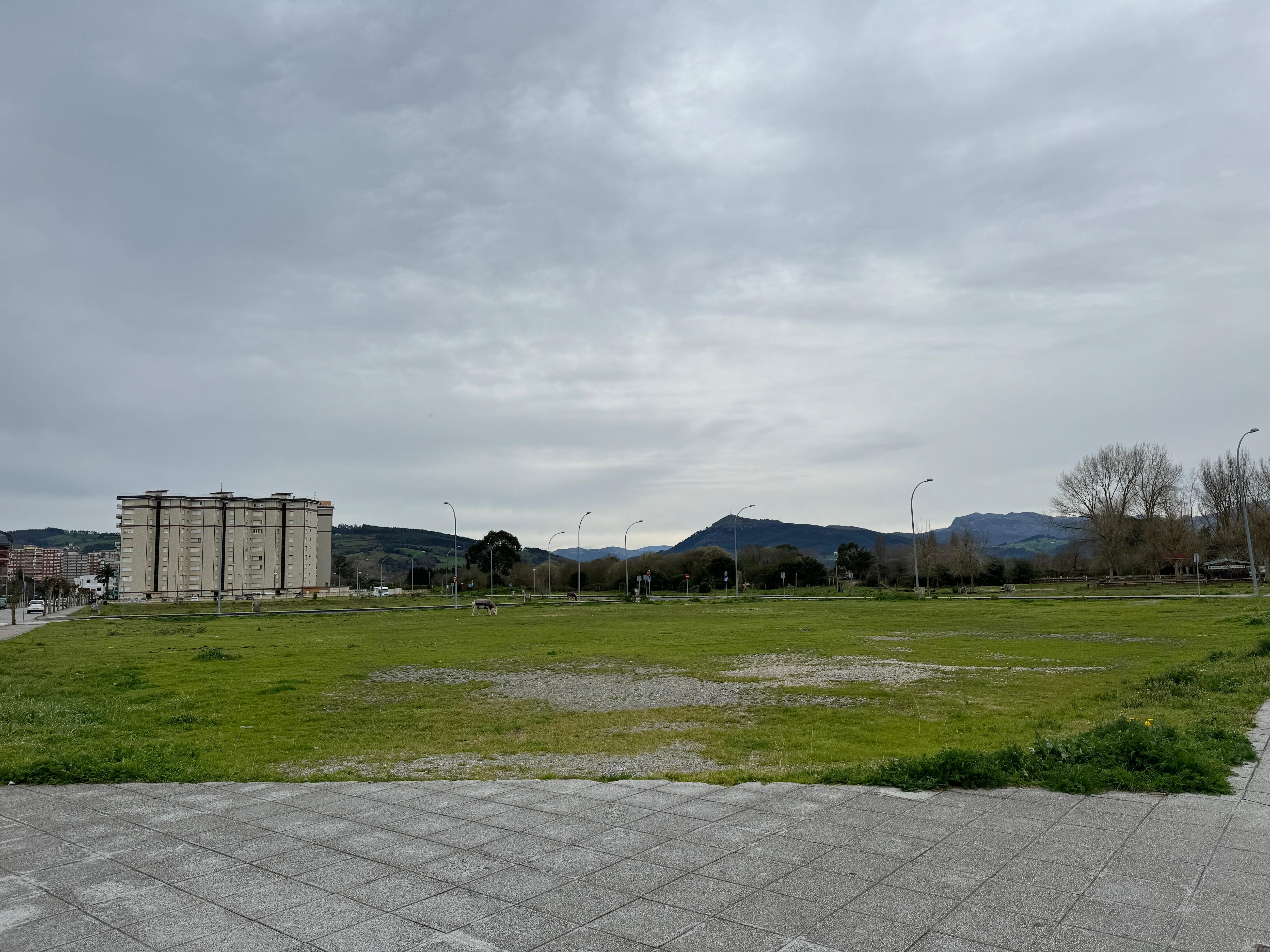 Las parcelas están situadas en la zona del Hospital Comarcal.