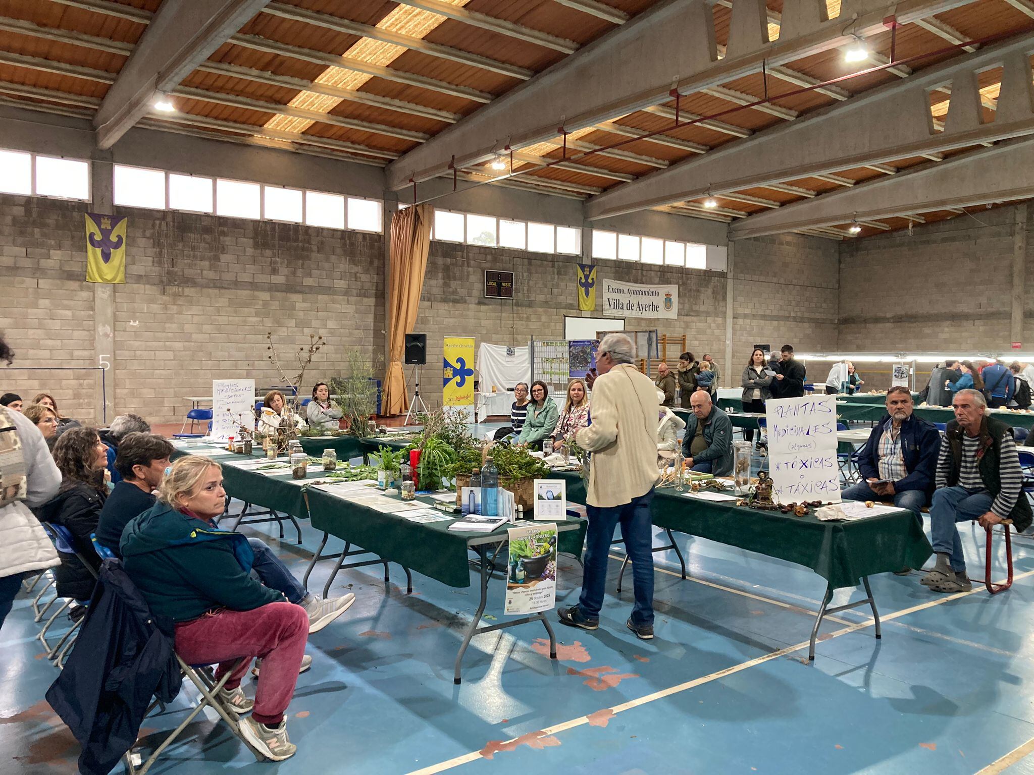 Exposición de especies de setas recolectadas este fin de semana.