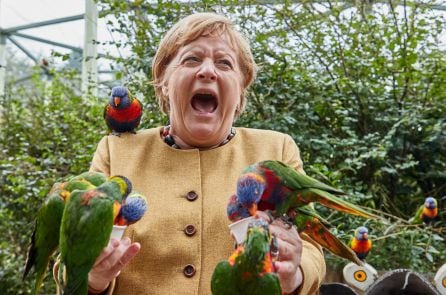 Momento en el que Angela Merkel es mordida por un loro