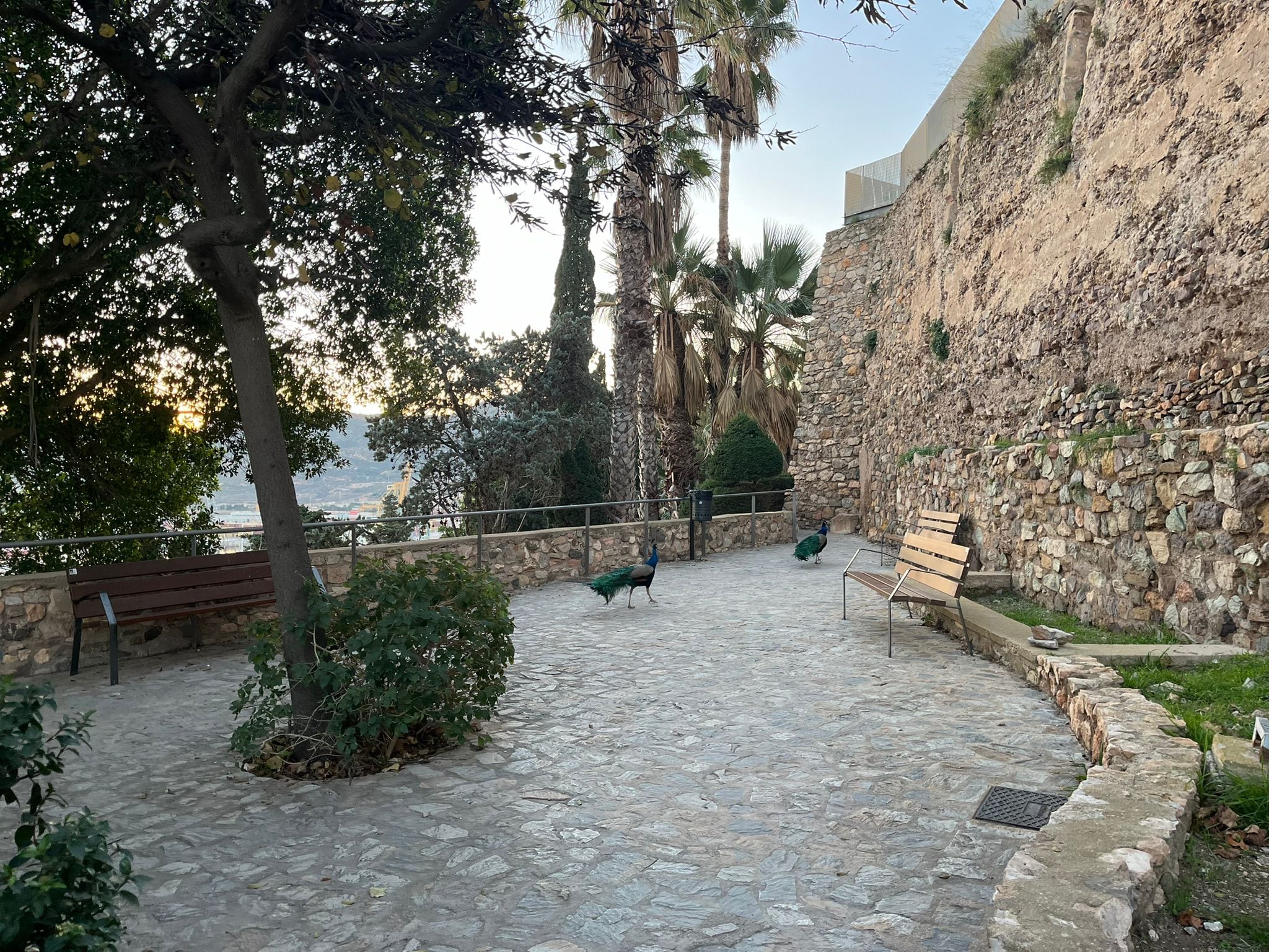 Castillo de la Concepción en Cartagena