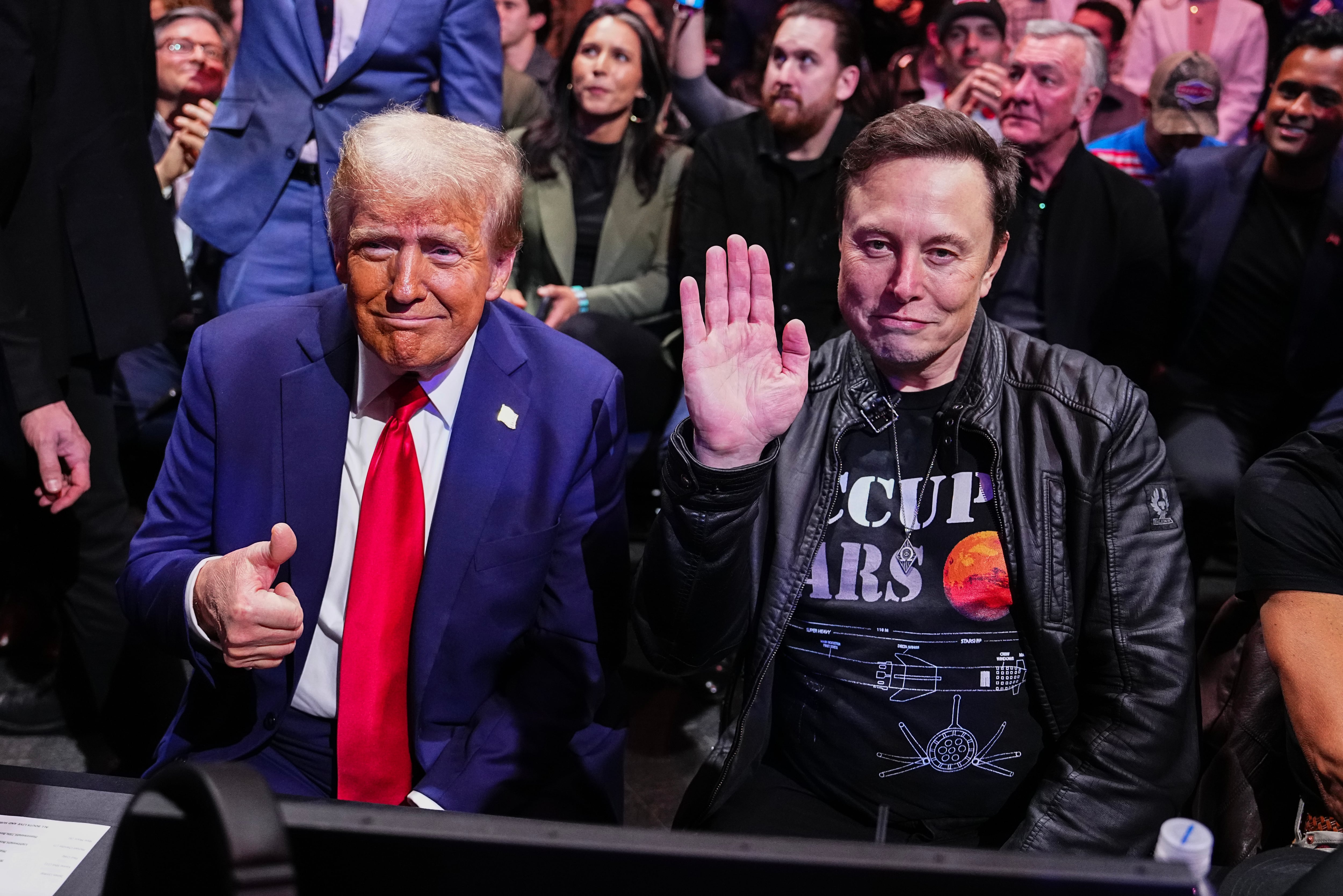 Donald Trump y Elon Musk en un evento en el Madison Square Garden el 16 de noviembre de 2024 en Nueva York. Jeff Bottari/Zuffa LLC.