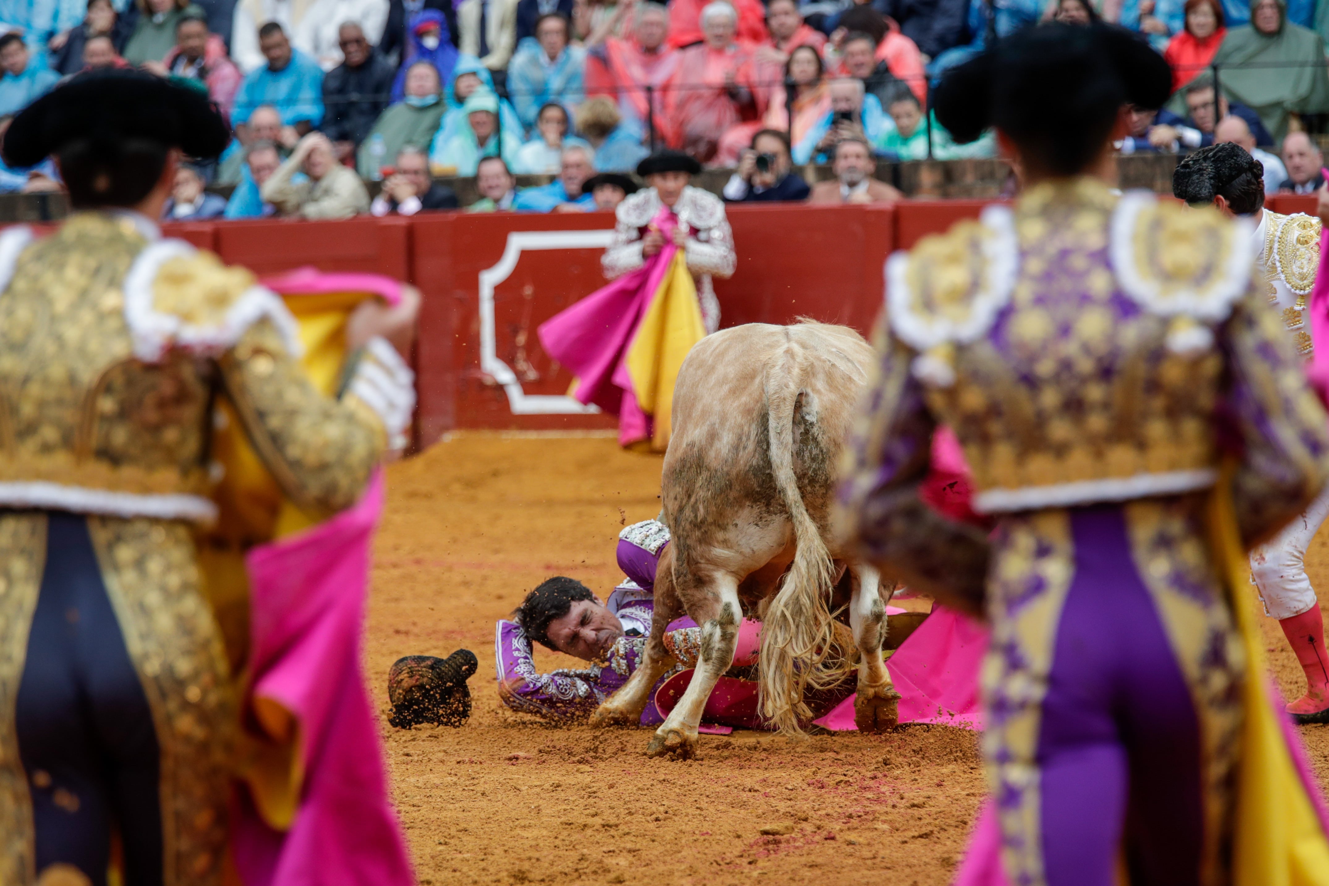 SEVILLA, 03/05/2022.- Uno de los subalternos de la cuadrilla del torero Daniel Luque se vio comprometido tras resbalarse a causa del barro formado tras el chaparrón durante la faena al cuarto toro de la tarde en la novena corrida de abono de la Feria de Abril de Sevilla hoy martes en la plaza de la Real Maestranza. EFE/ Julio Muñoz
