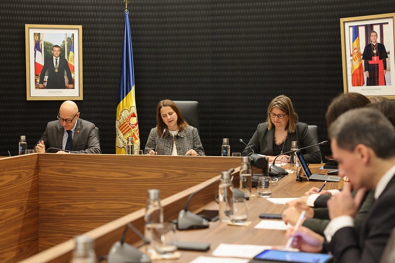 La cònsol major, Rosa Gili, durant la sessió extraordinària de comú