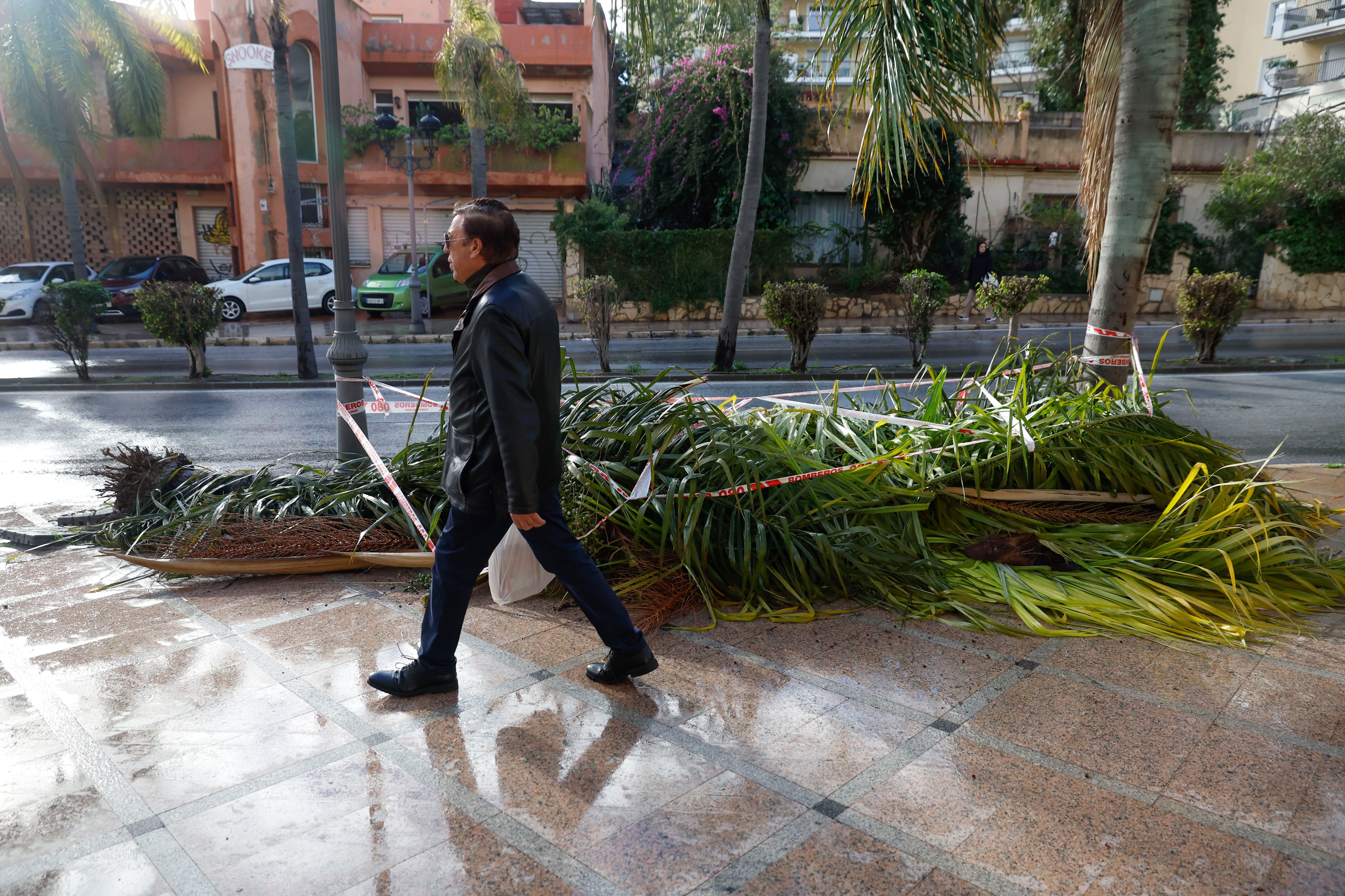 TORREMOLINOS (MÁLAGA), 27/01/2026.-Una mujer ha fallecido este martes en Torremolinos (Málaga) al caerle encima una palmera, en la imagen, a causa del fuerte viento, han informado a EFE fuentes municipales y del servicio de emergencias 112 Andalucía. El suceso ha ocurrido en la avenida Palma de Mallorca de dicha localidad alrededor de las 13:40 horas, cuando más de una decena de testigos han alertado al teléfono 112 de la caída del árbol sobre una mujer joven.- EFE/Jorge Zapata.