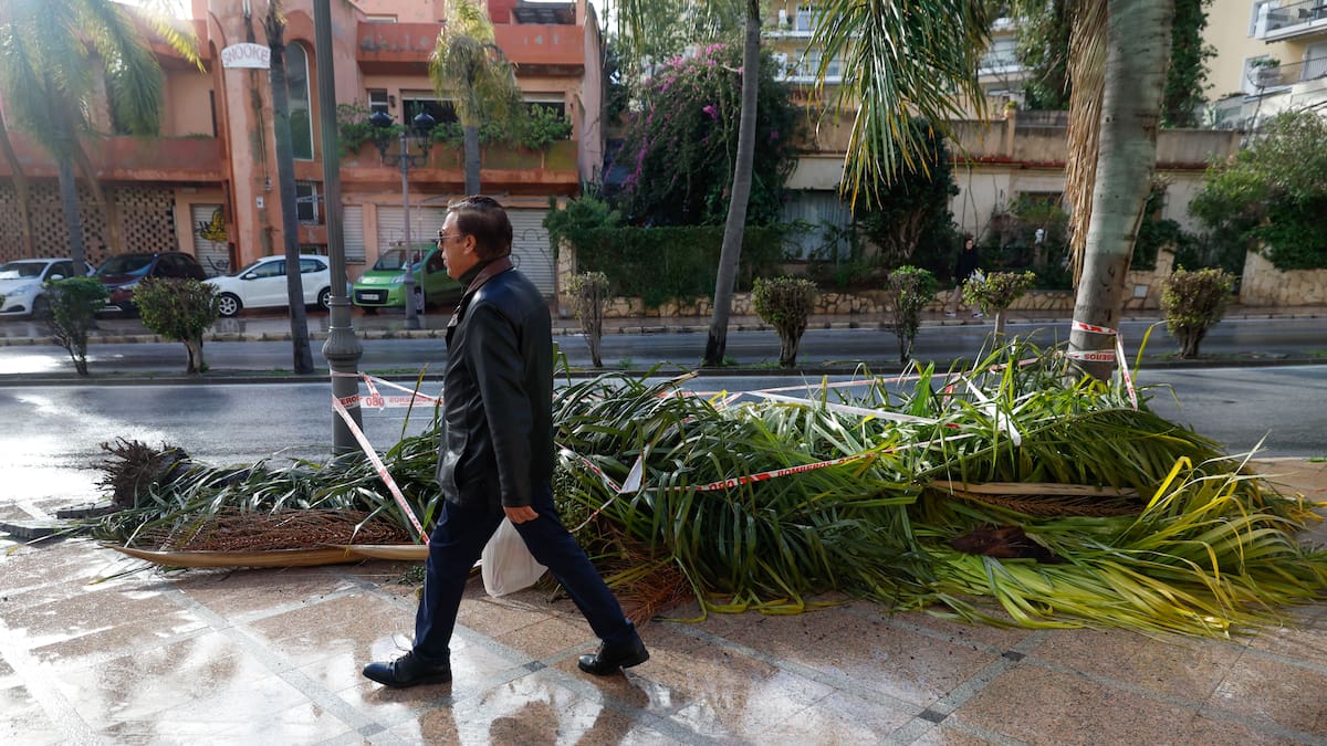 La Junta suspende las clases en colegios e institutos de la Serranía de Ronda (Málaga) este miércoles por la borrasca Joseph