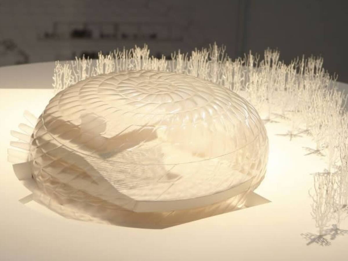 Despilfarro en miniatura