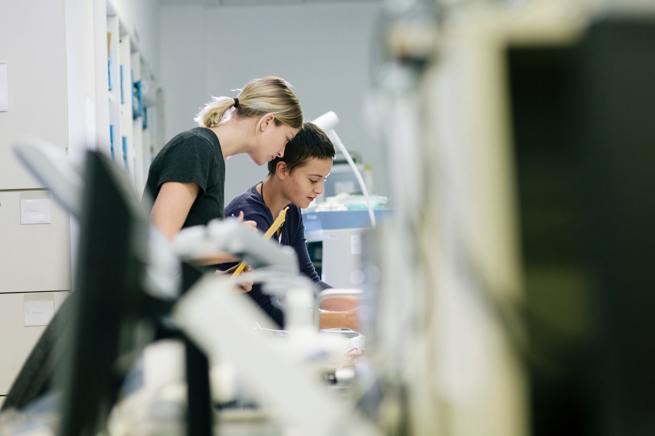 Las empresas de la safor necesitan de jóvenes cualificados, normalmente de perfil tecnológico.