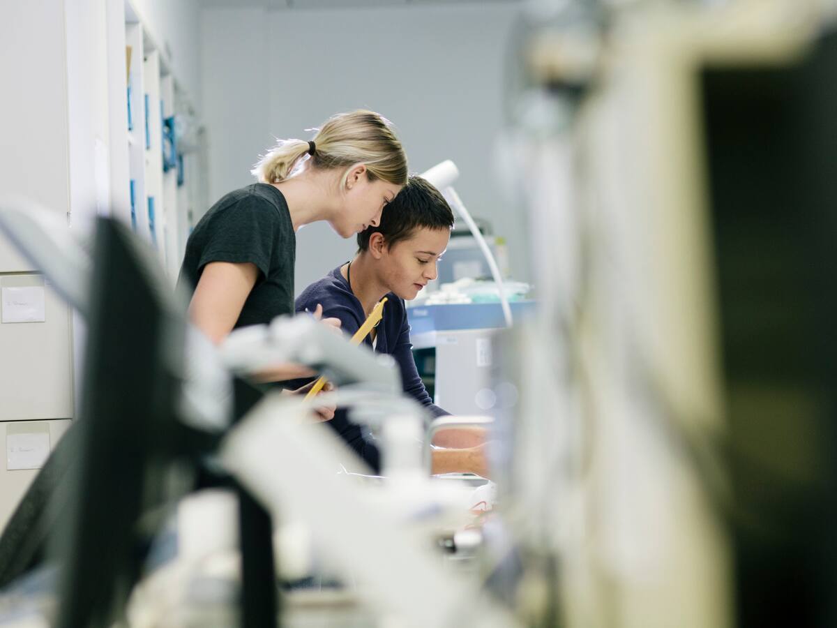 Las empresas más punteras de la comarca buscan personas con talento urgentemente