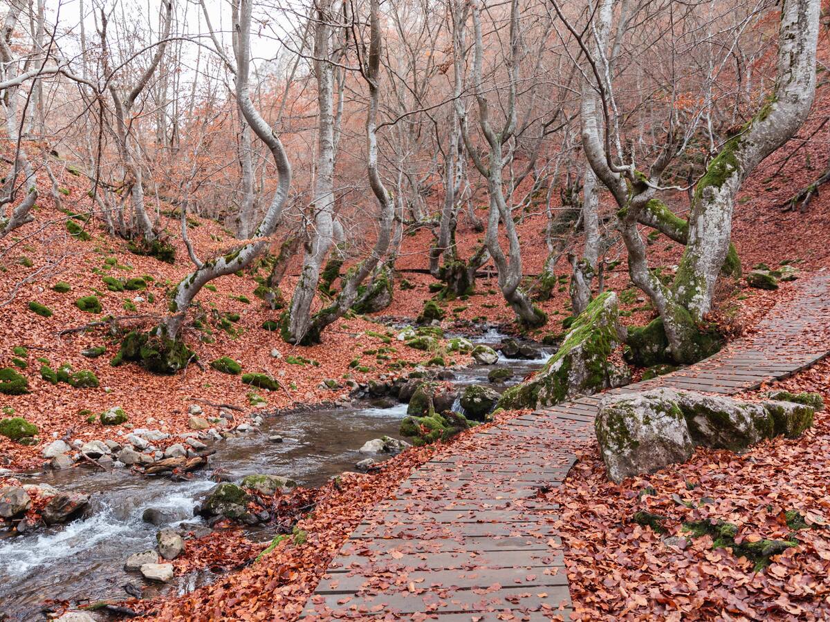 Faedo estrena ruta circular para mejorar su conservación y hacer más atractiva la visita