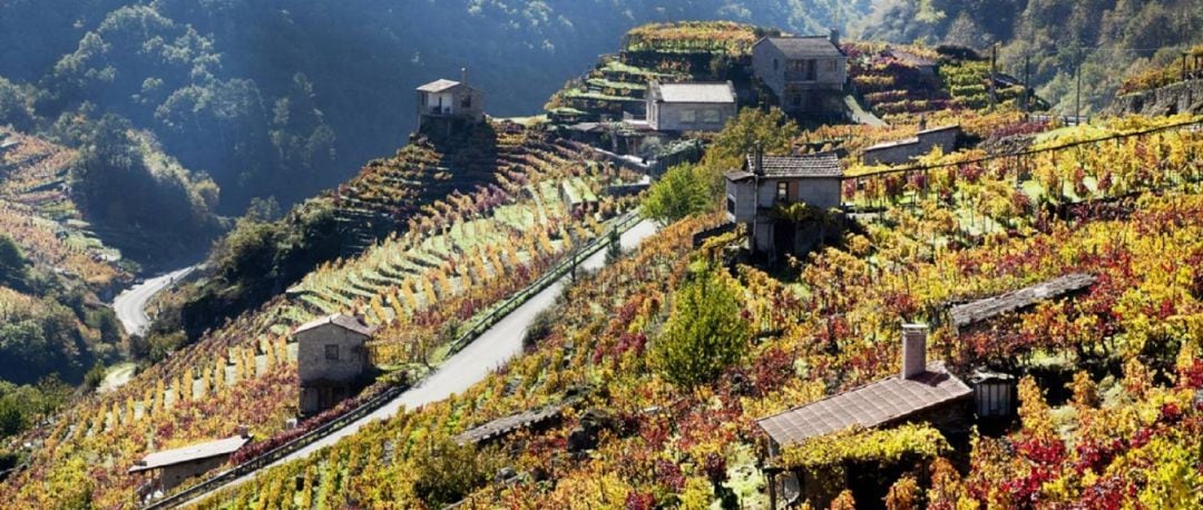 Aberto o prazo para inscribirse na marcha cicloturista ´´Clásica A Ribeira Sacra´´