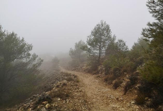 De camino a la cima del cerro de las antenas de Cuenca.