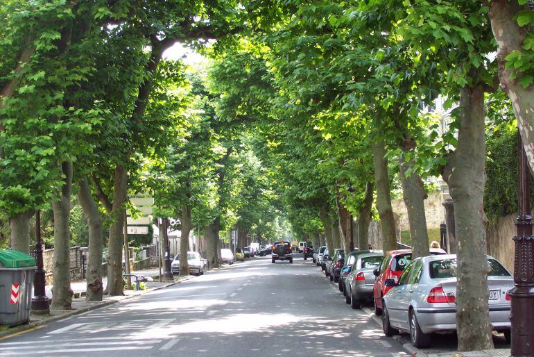 Paseo Ménedez Pelayo