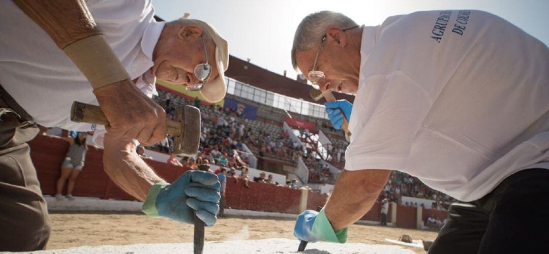 Los colmenareños tendrán concurso de canteros el sábado