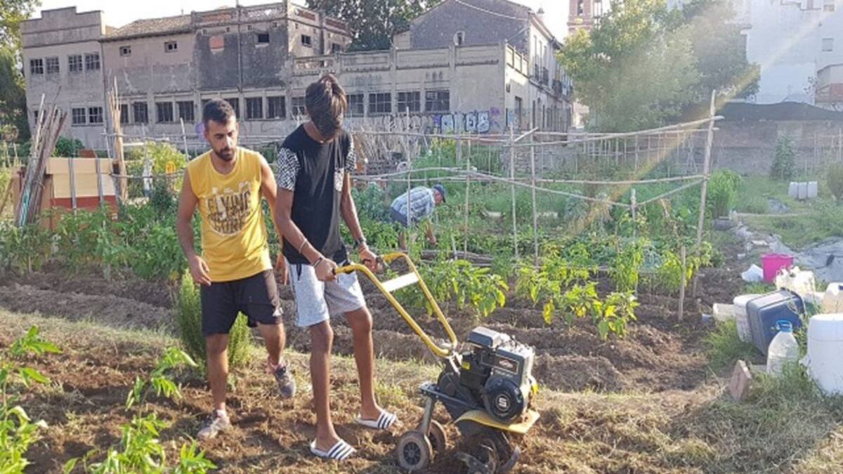 La huerta ayuda a emancipar a jóvenes inmigrantes