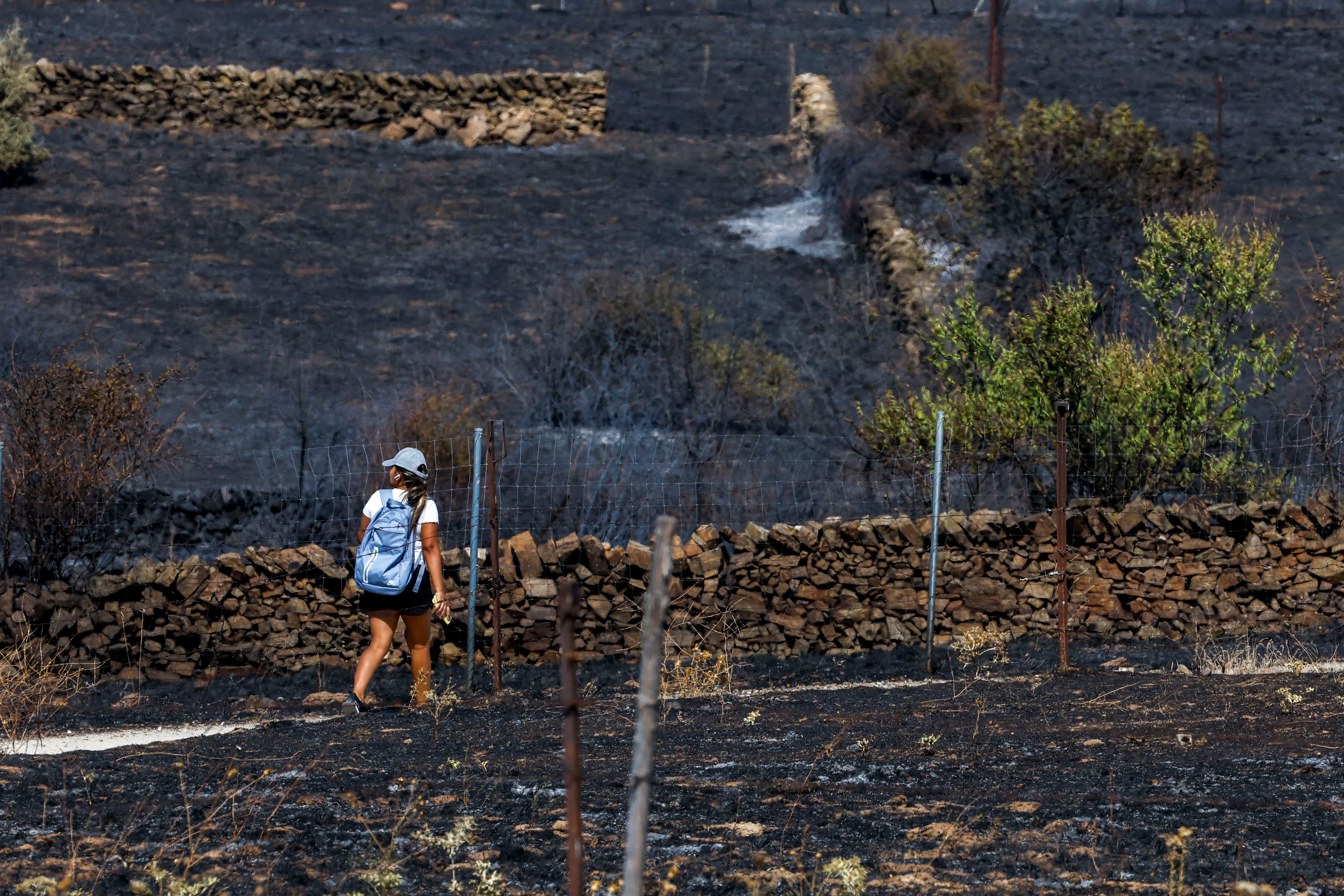 Vista general de la superficie afectada por el incendio en los términos municipales de El Molar y Pedrezuela