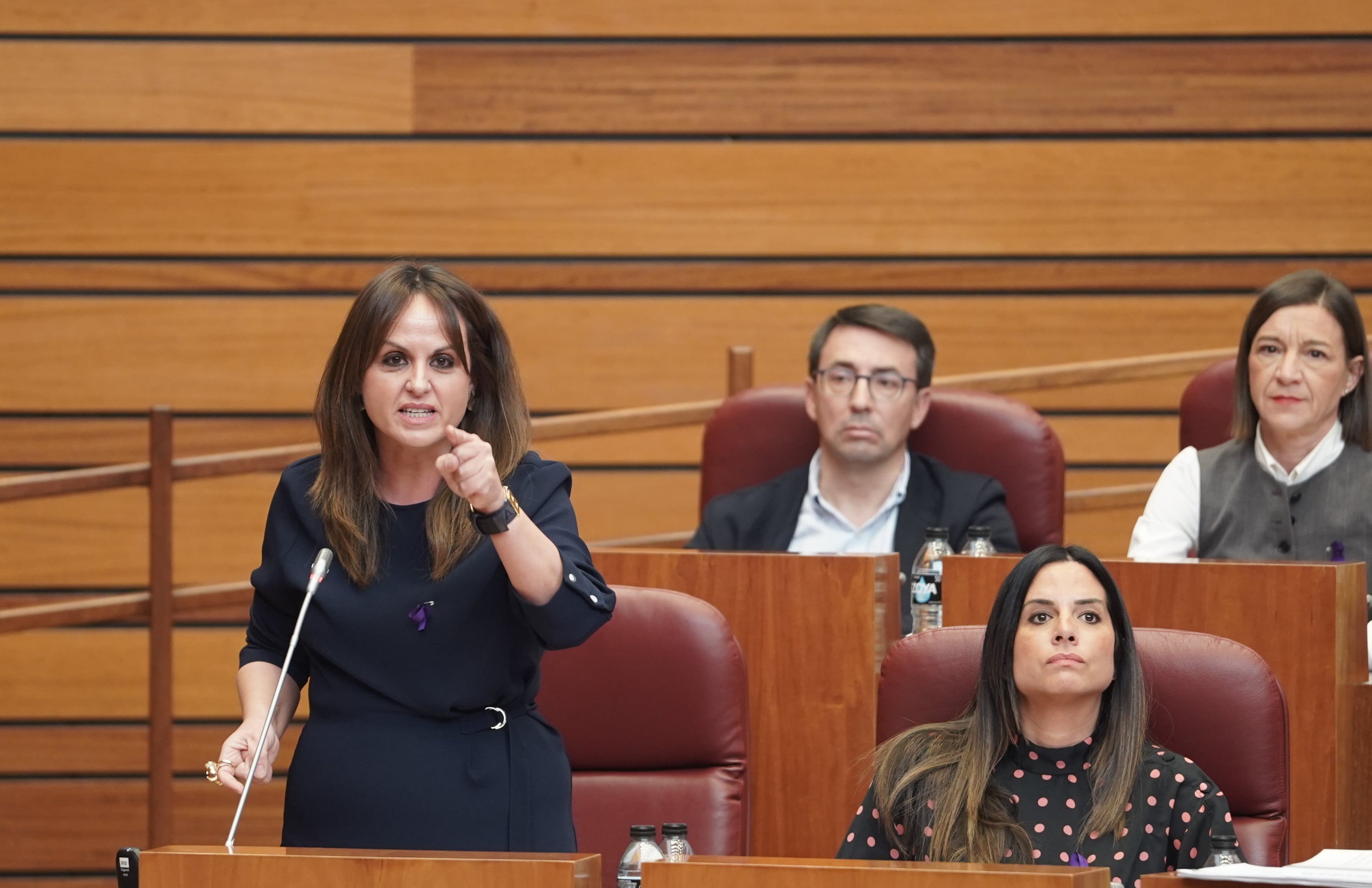Patricia Gómez, portavoz del PSOE en las Cortes