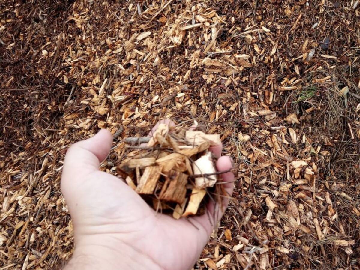 Serra, hacia la independencia energética