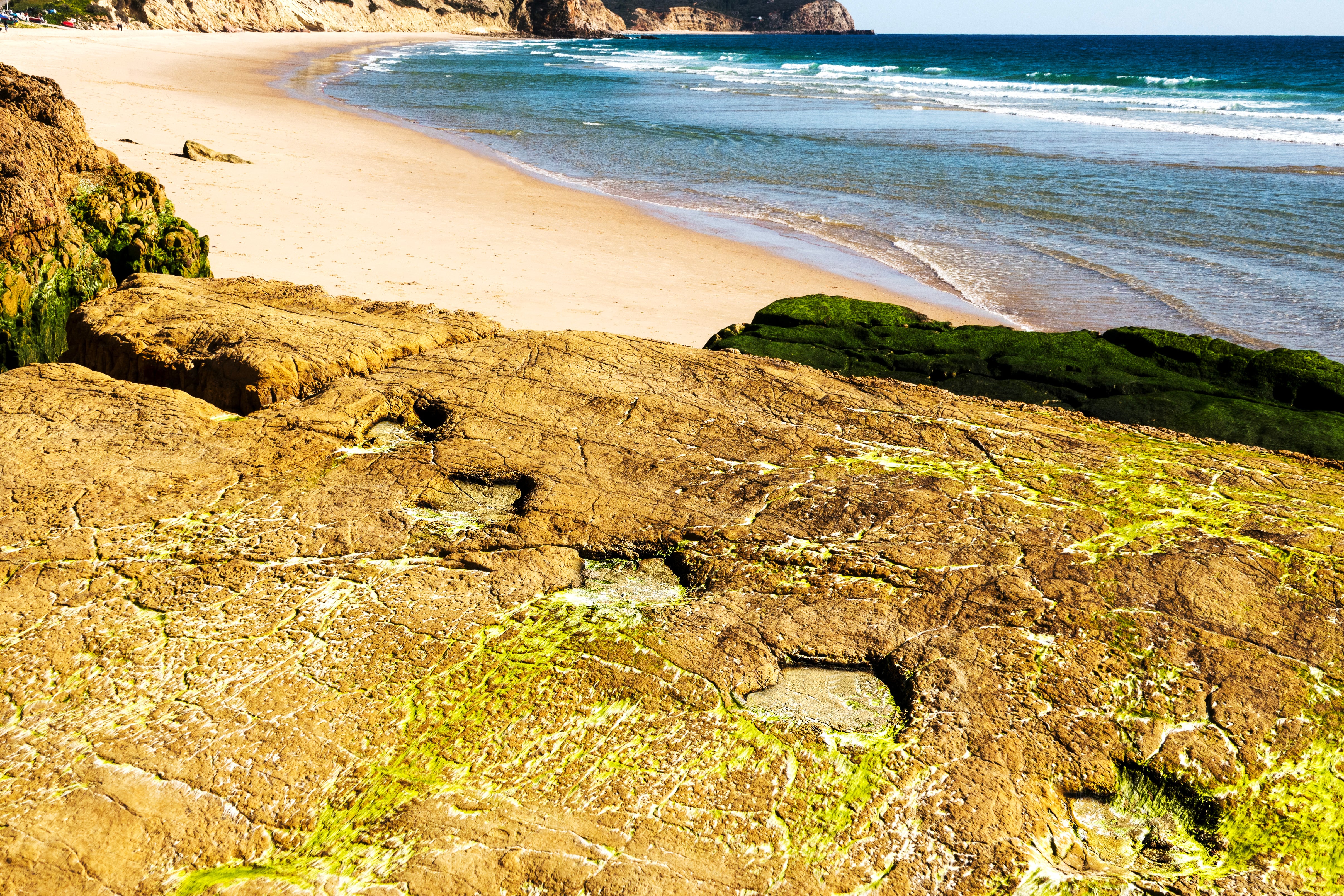 One of the world&#039;s best preserved Dinosaur footprints clearly visible on a flat rock by a popular beach.