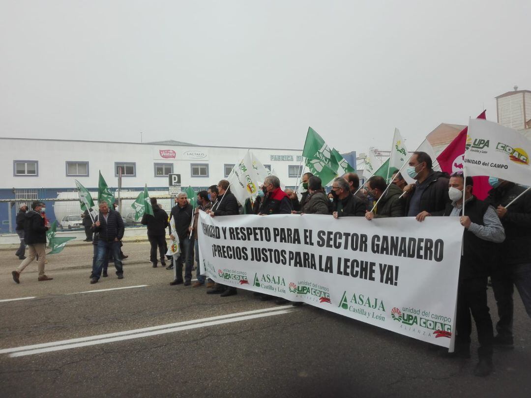  Manifestación frente la factoría de Lactalis en Zamora