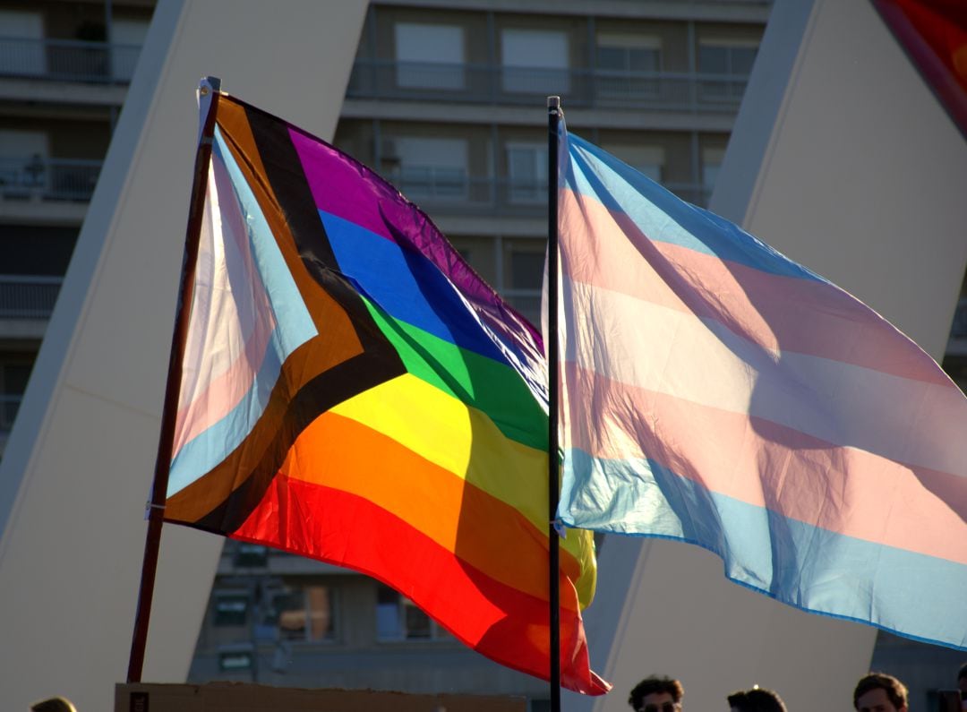 Bandera trans durante una manifestación del Orgullo en València. 