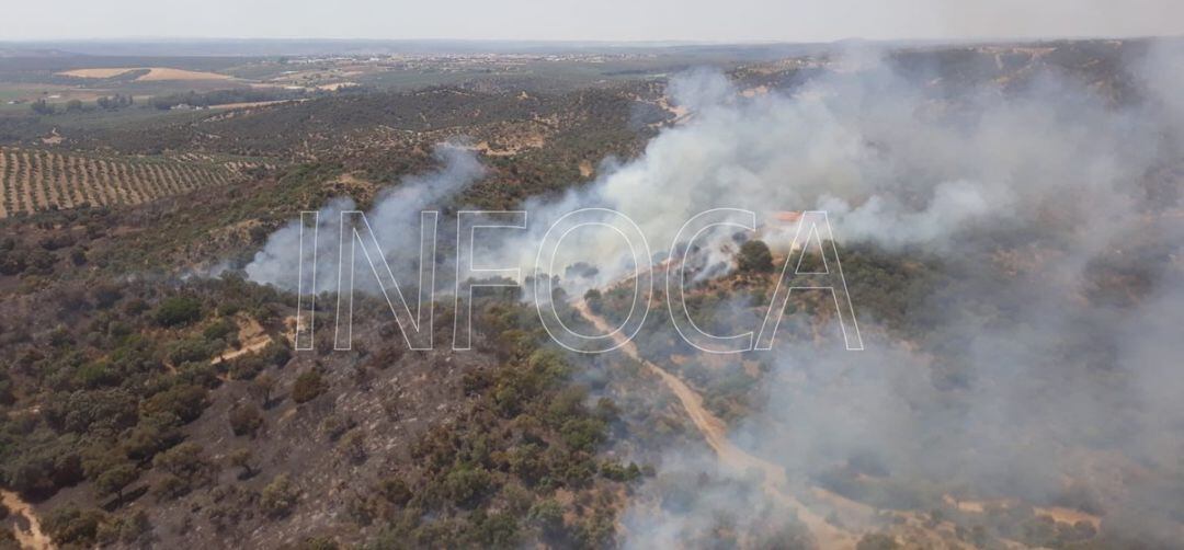 Imagen de un incendio forestal publicado por el Infoca.