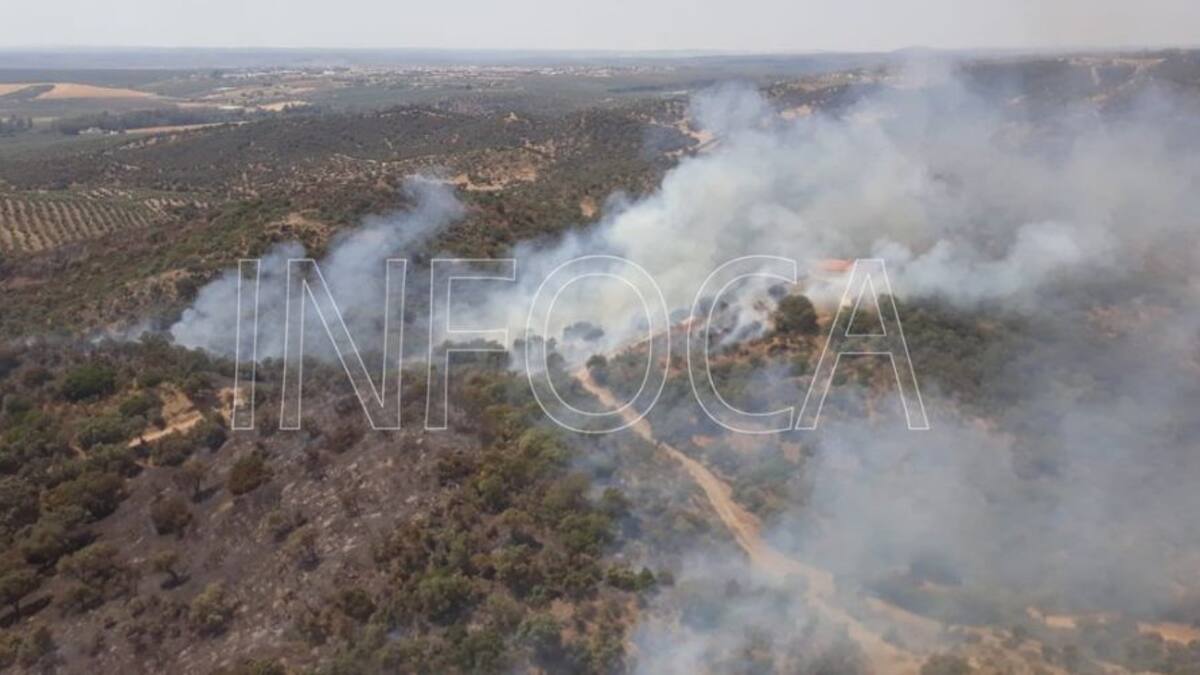 Extinguido el incendio forestal de Jódar