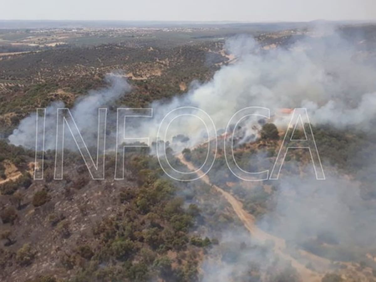 Extinguido el incendio forestal de Jódar