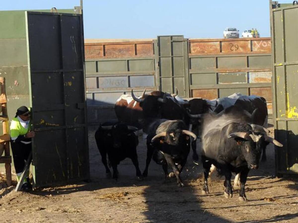 Puesta de largo de los encierros 2018