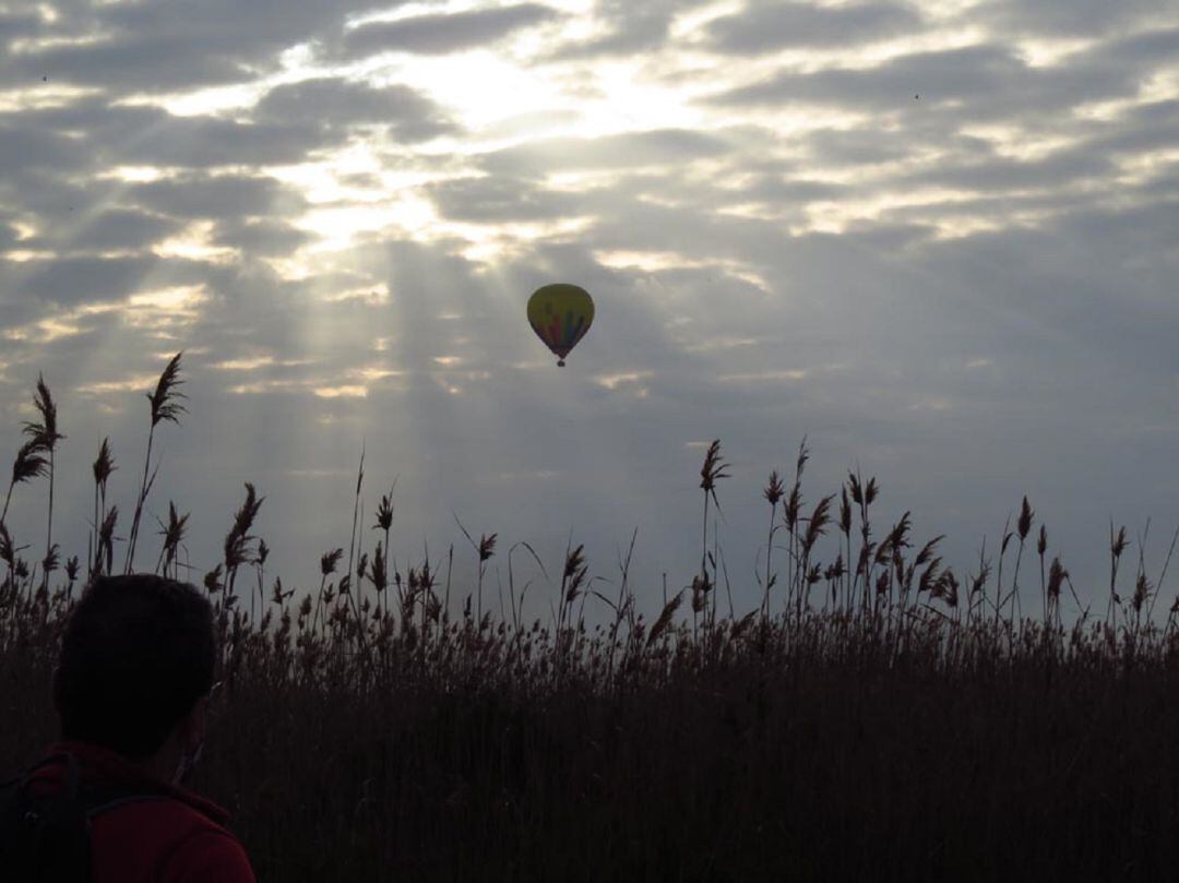Parque Natural de El Hondo