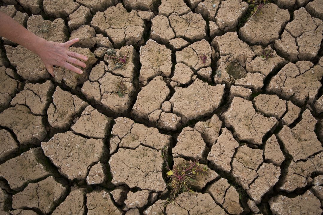 Tierra afectada por la sequía