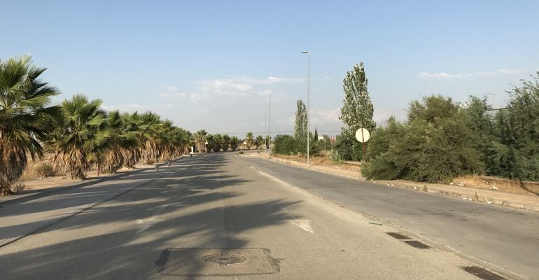 Una de las calles desiertas del Polígono Nuevo Jaén.