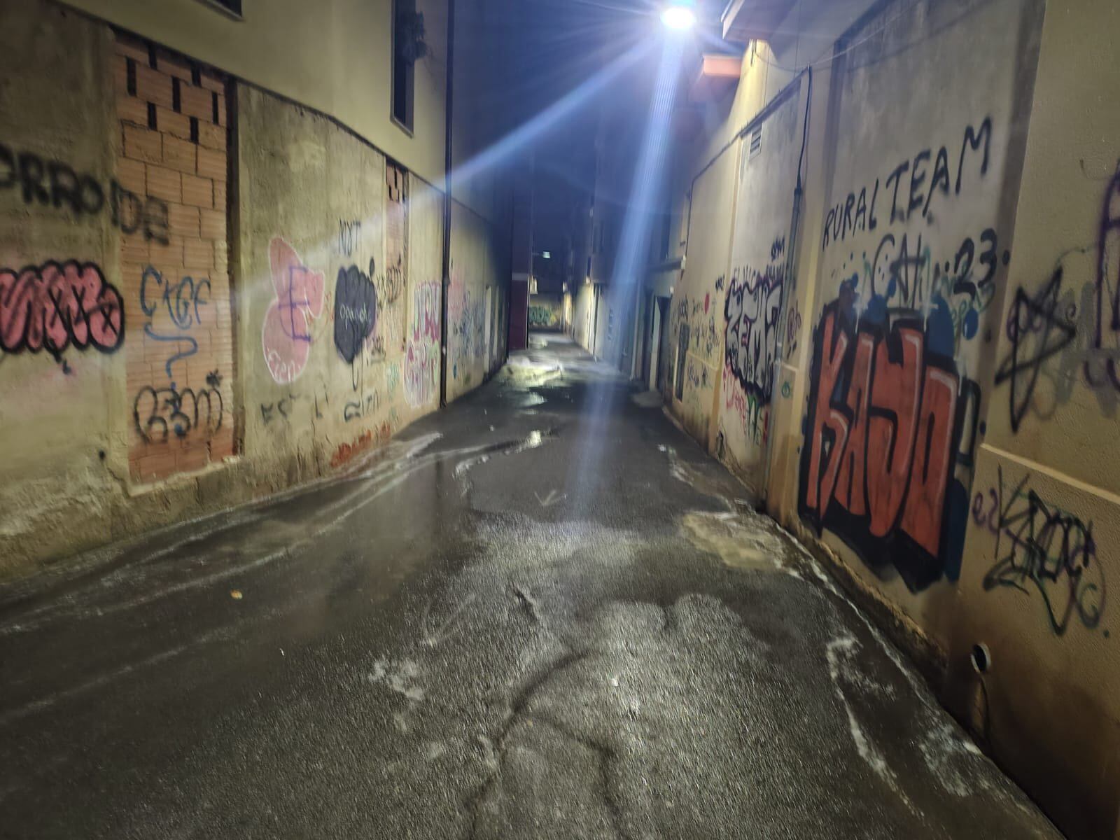 Limpieza en la zona centro