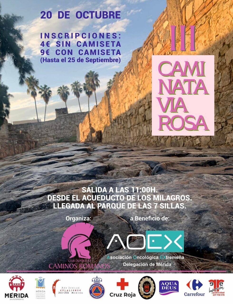 Cartel III Caminata Vía Rosa