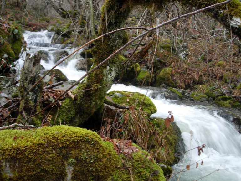 El Consejo de Ministros aprueba la protección de los tramos "casi vírgenes"