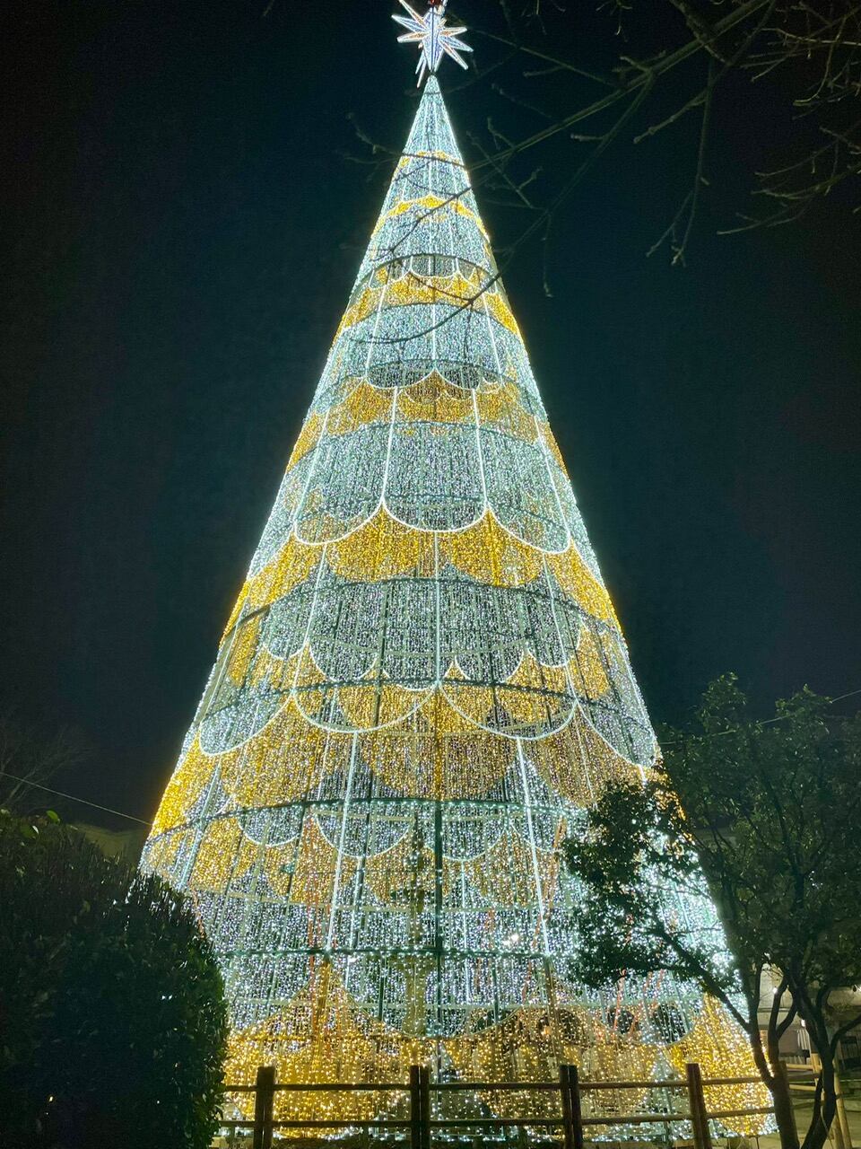 El árbol de Navidad ubicado en la plaza de Bispo Cesáreo