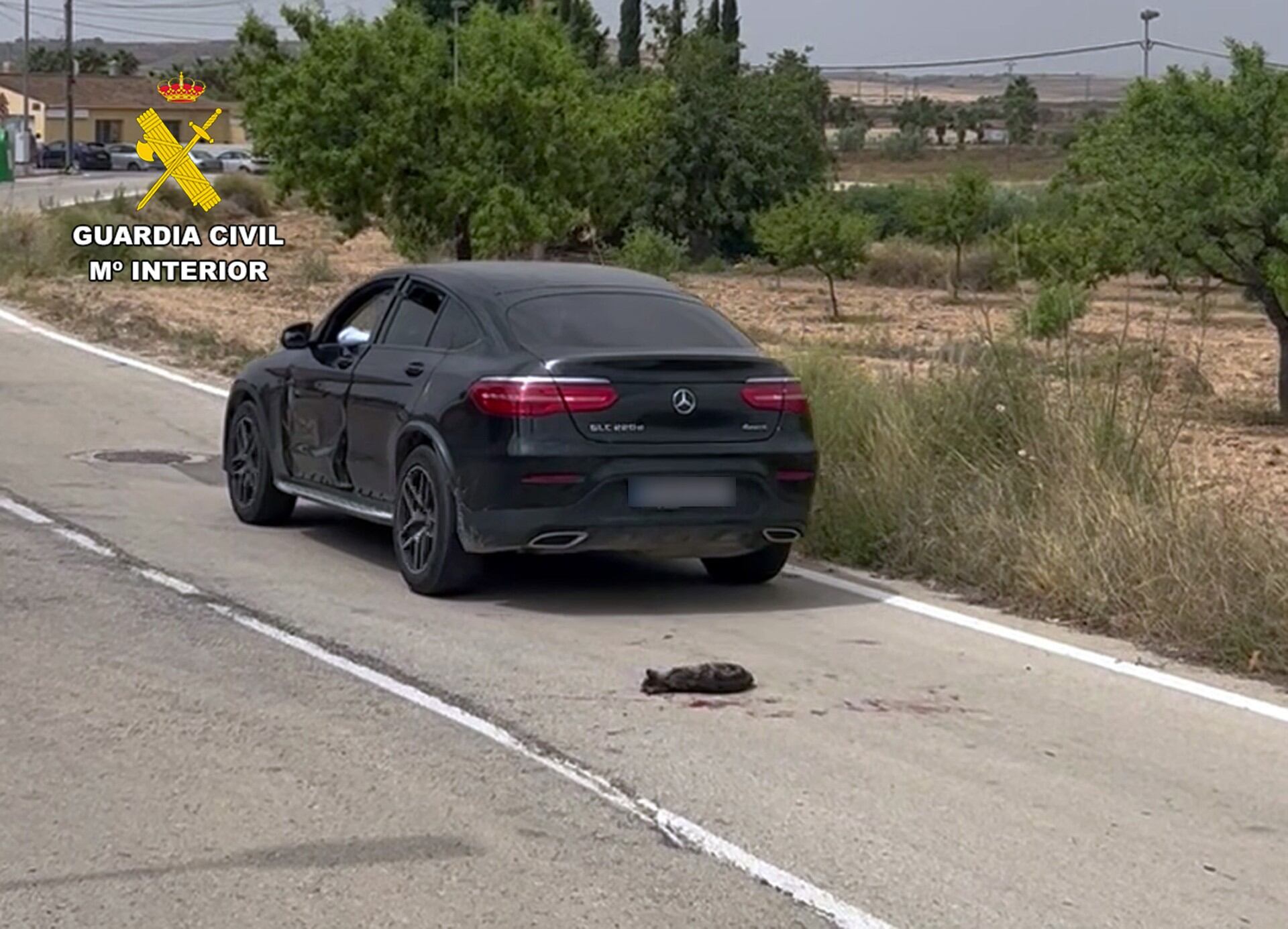 Arroja un gato a la calzada y lo atropella en reiteradas ocasiones