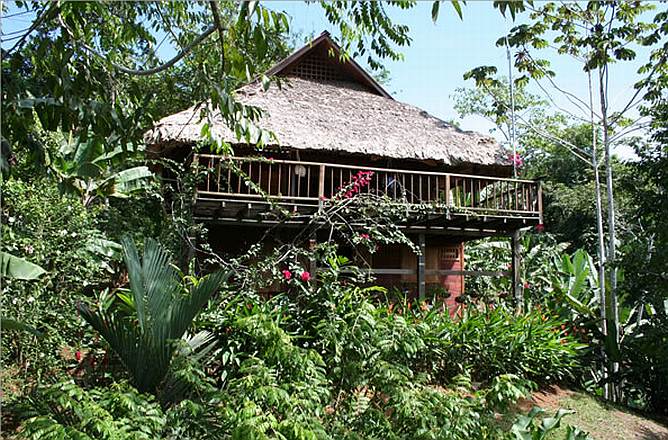 Los viajes a la Amazonia se convirtieron en el estímulo que llevó a una pareja de catalanes a crear un espacio en la selva. Los resultados de su negocio de croissant en España, les permitió reunir el dinero para comprar 45 hectáreas de selva virgen, donde han creado una reserva