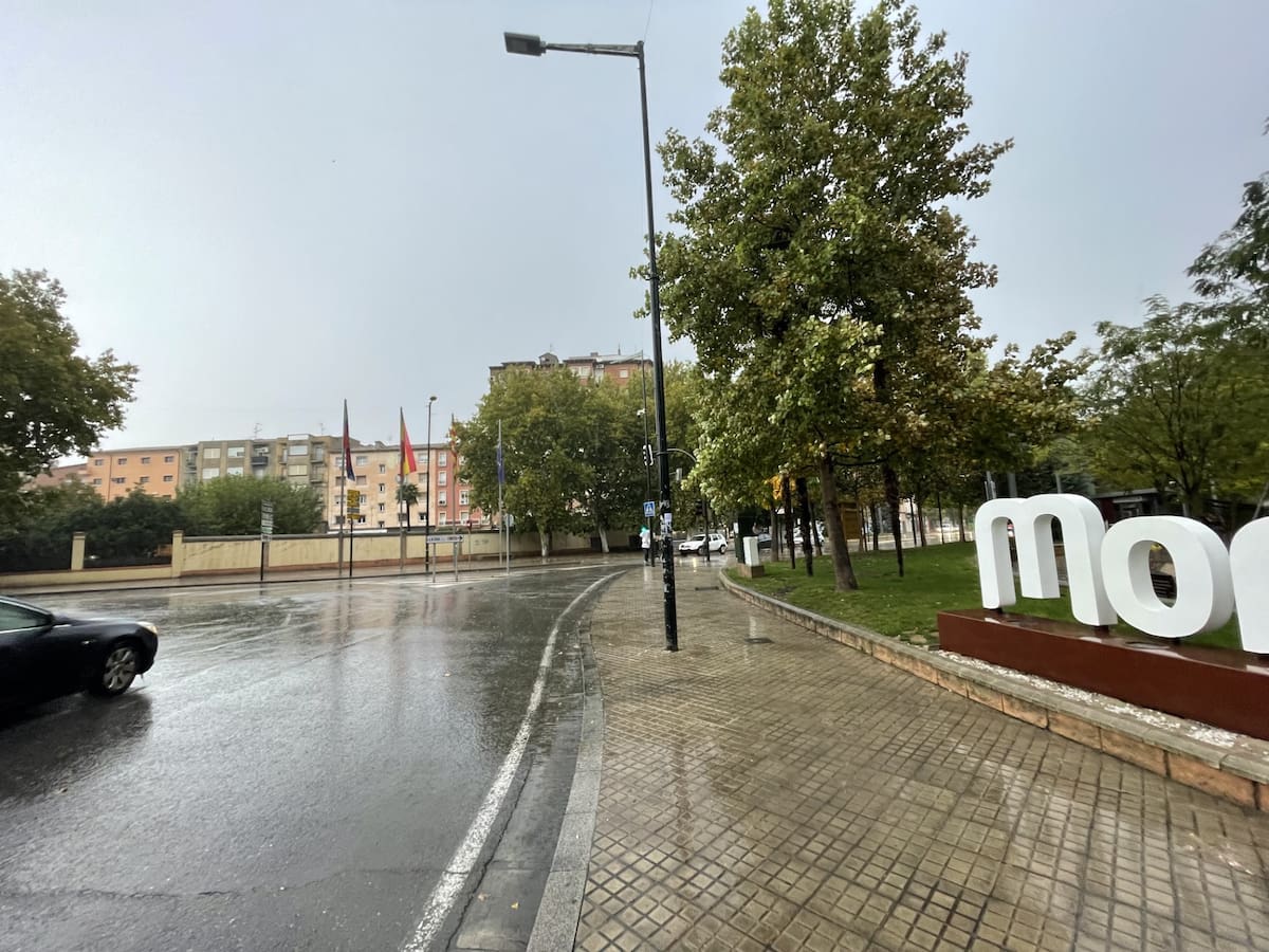 Nueva campaña para ahuyentar a los estorninos de Monzón