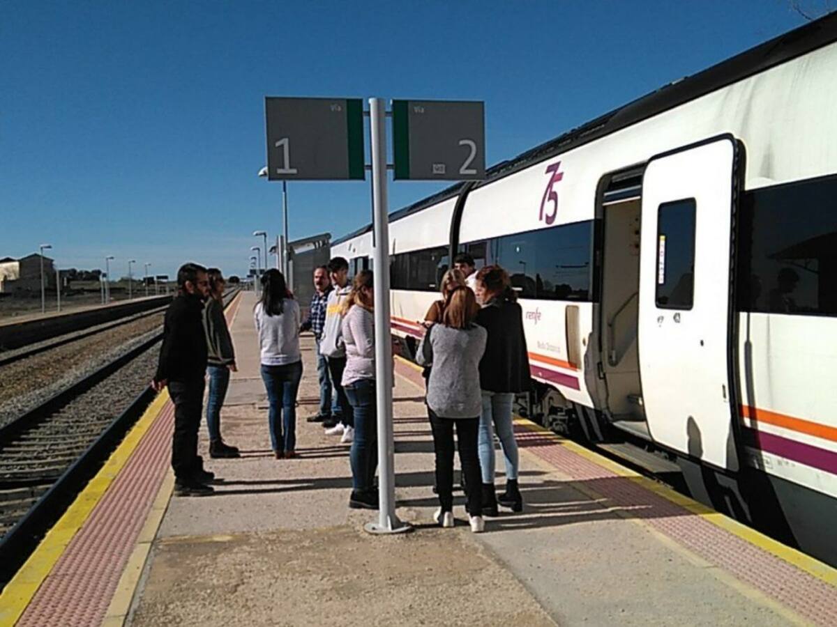 Un Talgo Badajoz-Madrid arrolla un rebaño de ovejas entre Cáceres y Toledo