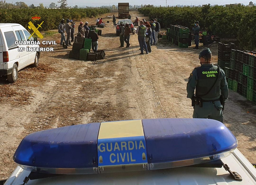 Inspección de la Guardia Civil en una finca agrícola. Archivo