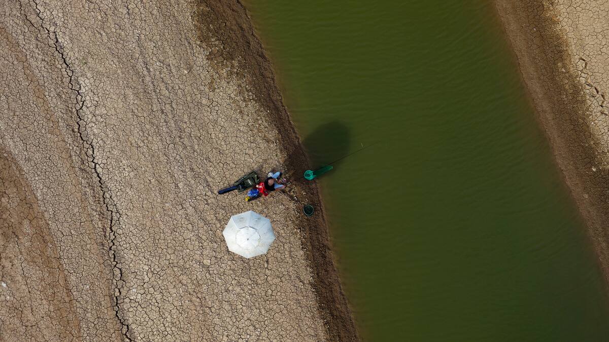 "Hasta 13.000 muertes anuales"