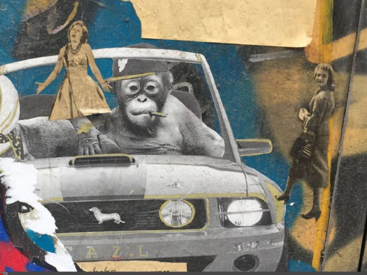 Bibliotecàries Salvatges