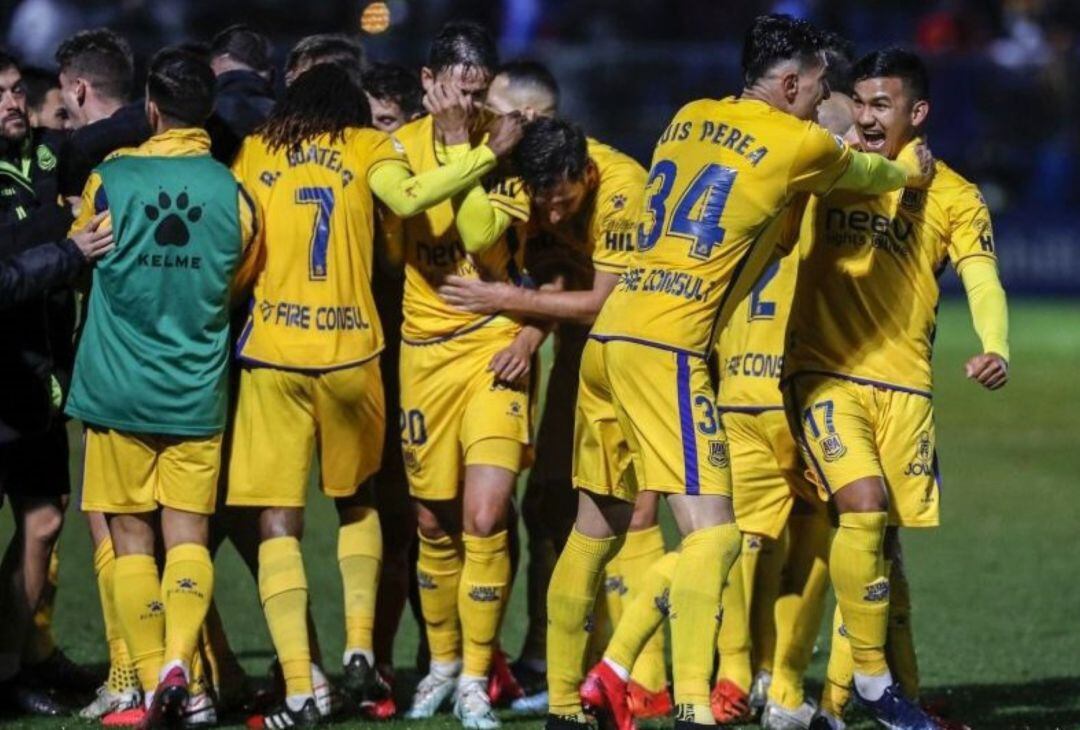 Los jugadores de la AD Alcorcón celebran un gol