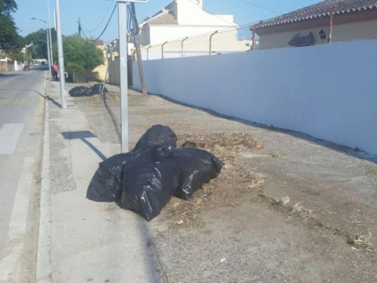 Usted dirá, martes 24 de mayo