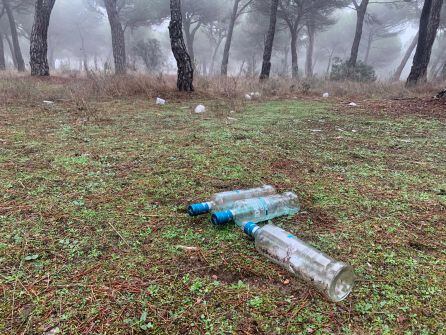 Parte de la basura recogida por el colectivo en el Pinar de Antequera