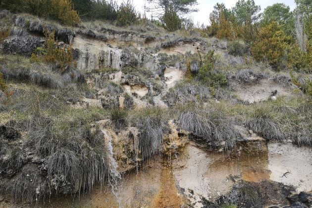 Paredes tobaceas en el recorrido de la senda.