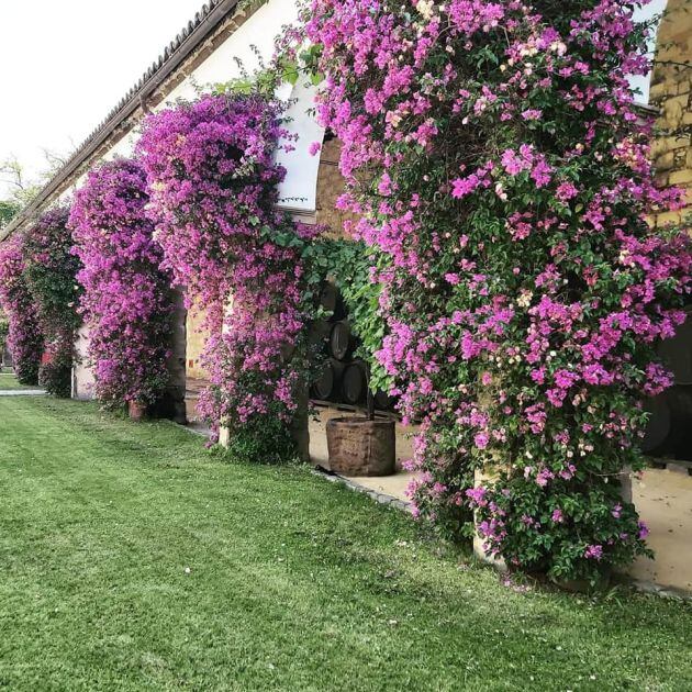 Exterior de la bodega Los Gigantes