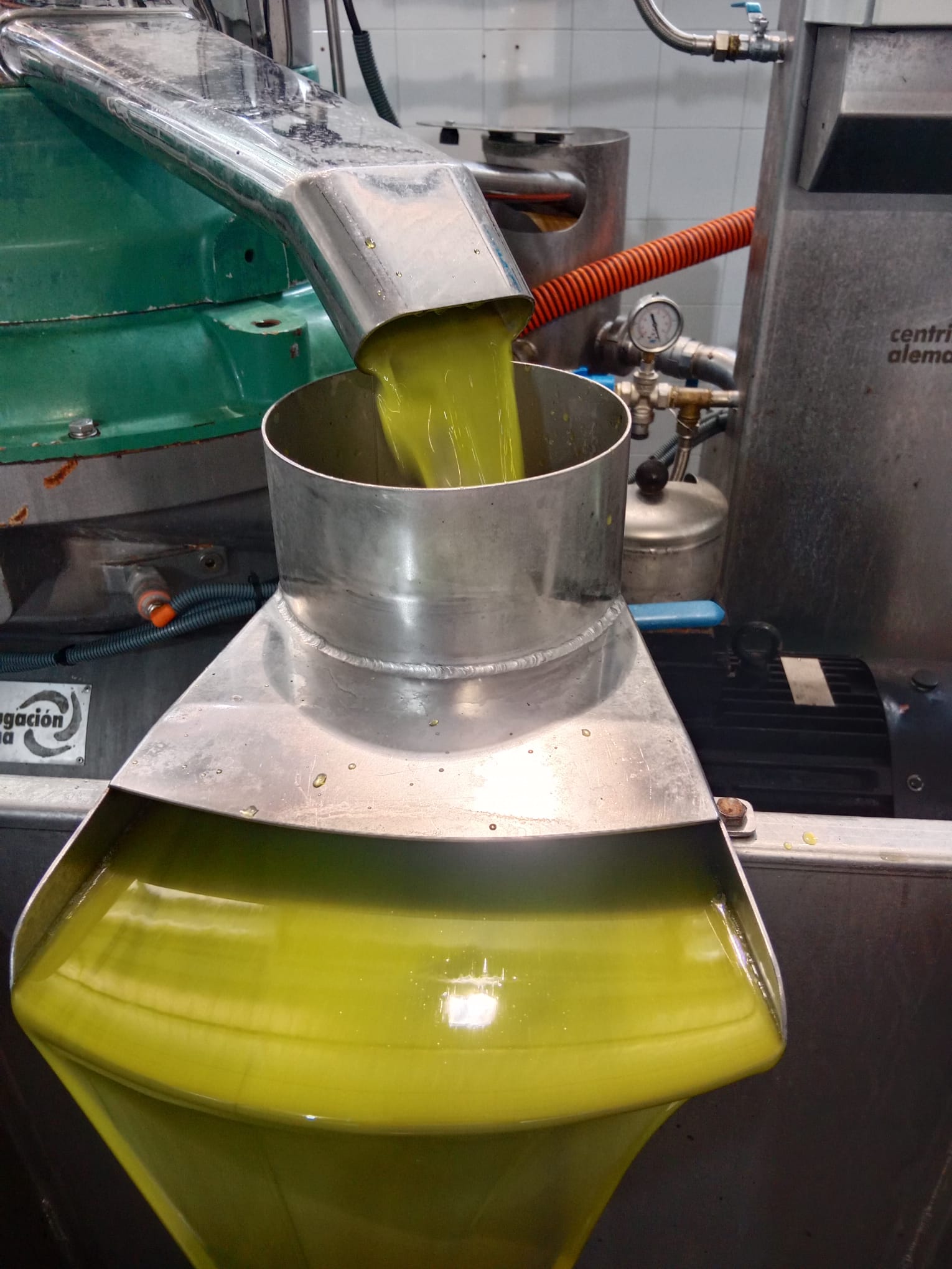 Producción de aceite en la SCA San Agustín de Linares